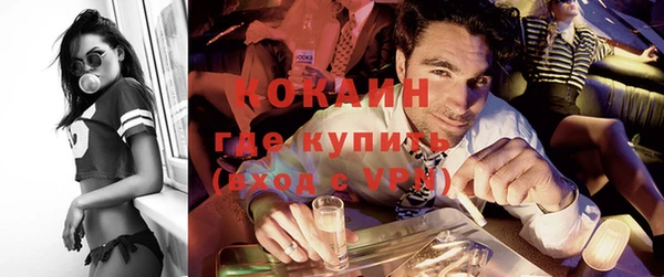 сатива Сафоново