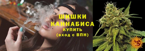 МДПВ Володарск